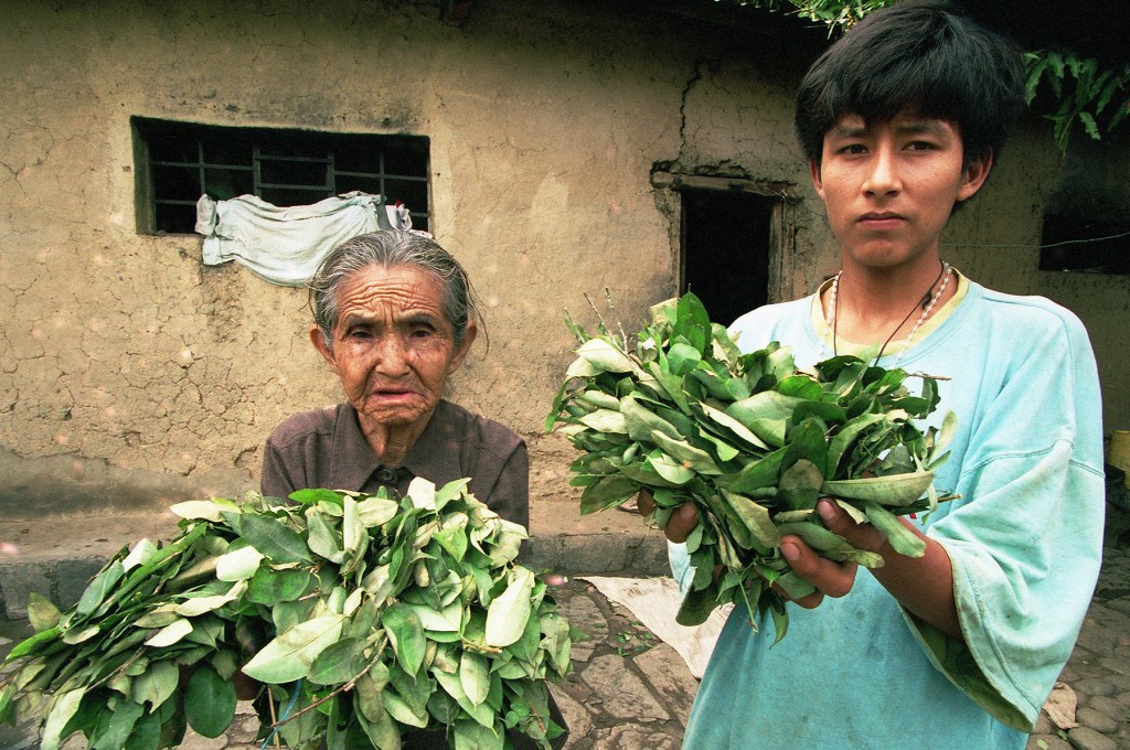 coca-growers.jpg