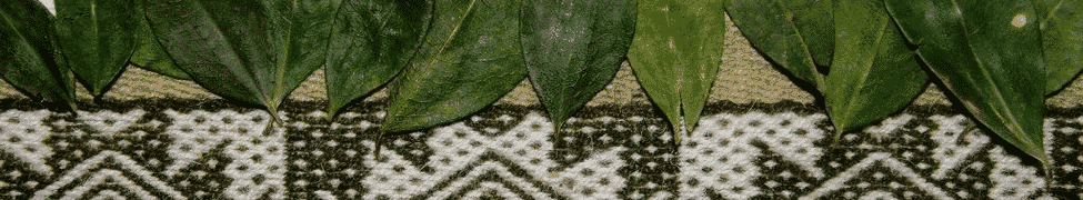coca_leaves_tradition.png