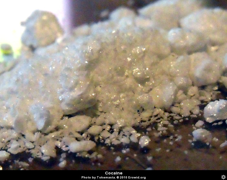 cocaine__i2010e0189_disp.jpg