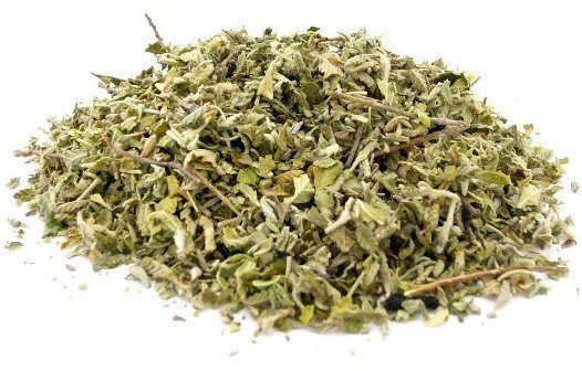 damiana.jpg