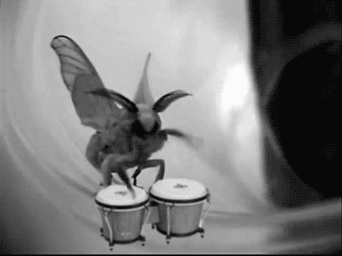dd8027d820cbee9a84d16eb89c8efd7f.gif