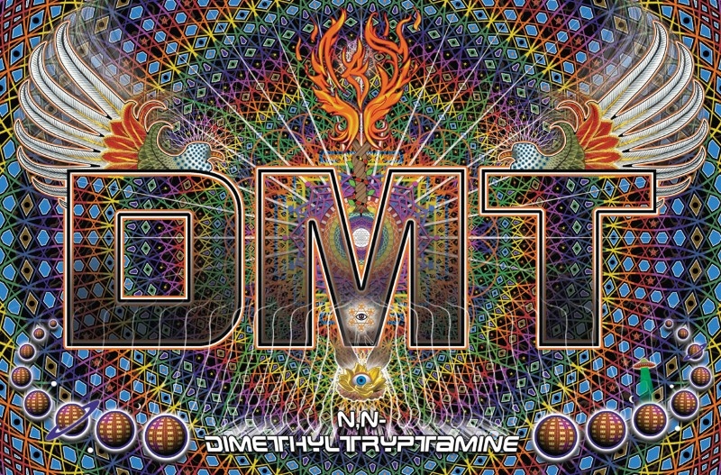 dmt-chto-eto-1.jpg