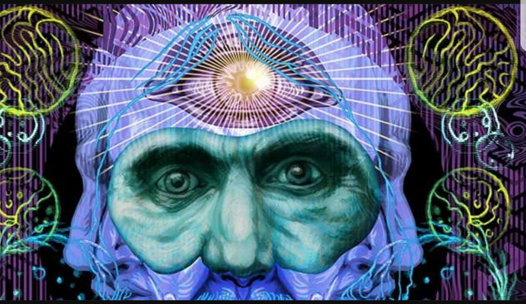 dmt13.png