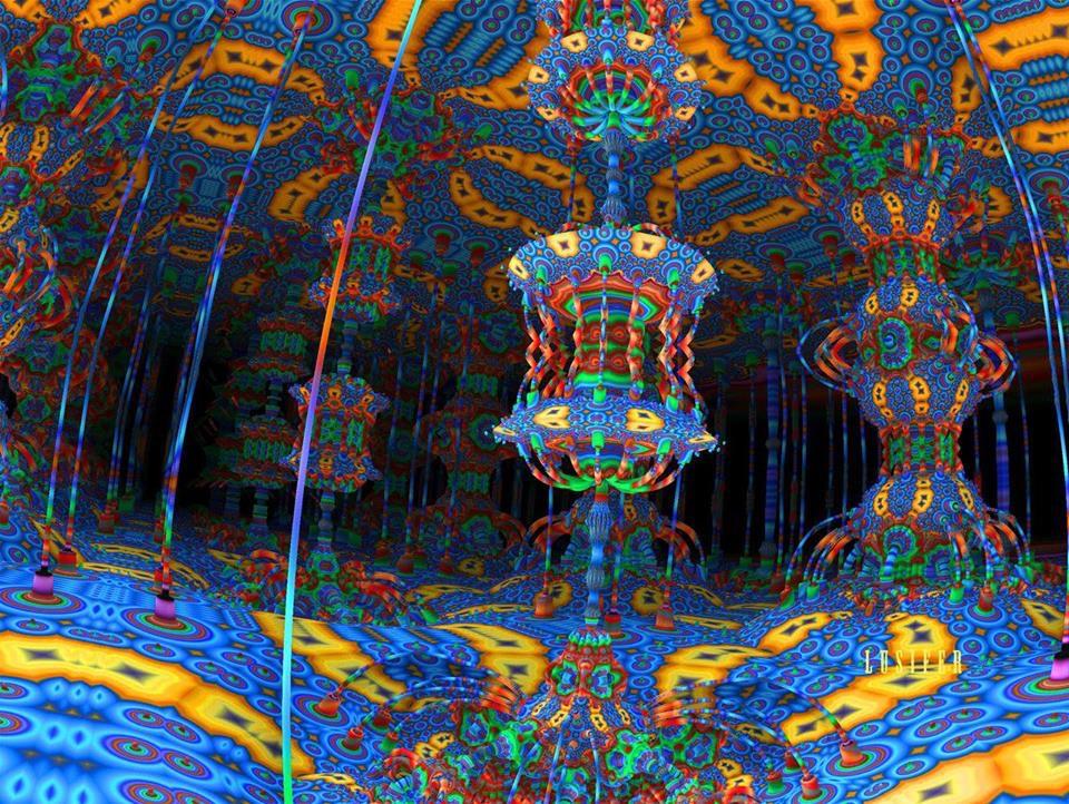 dmt3.jpg