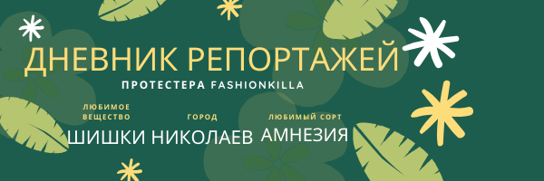 Дневник репортажей.png