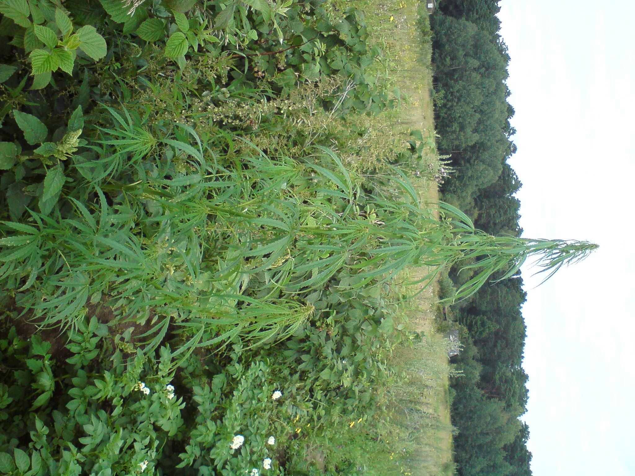 DSC01322.JPG