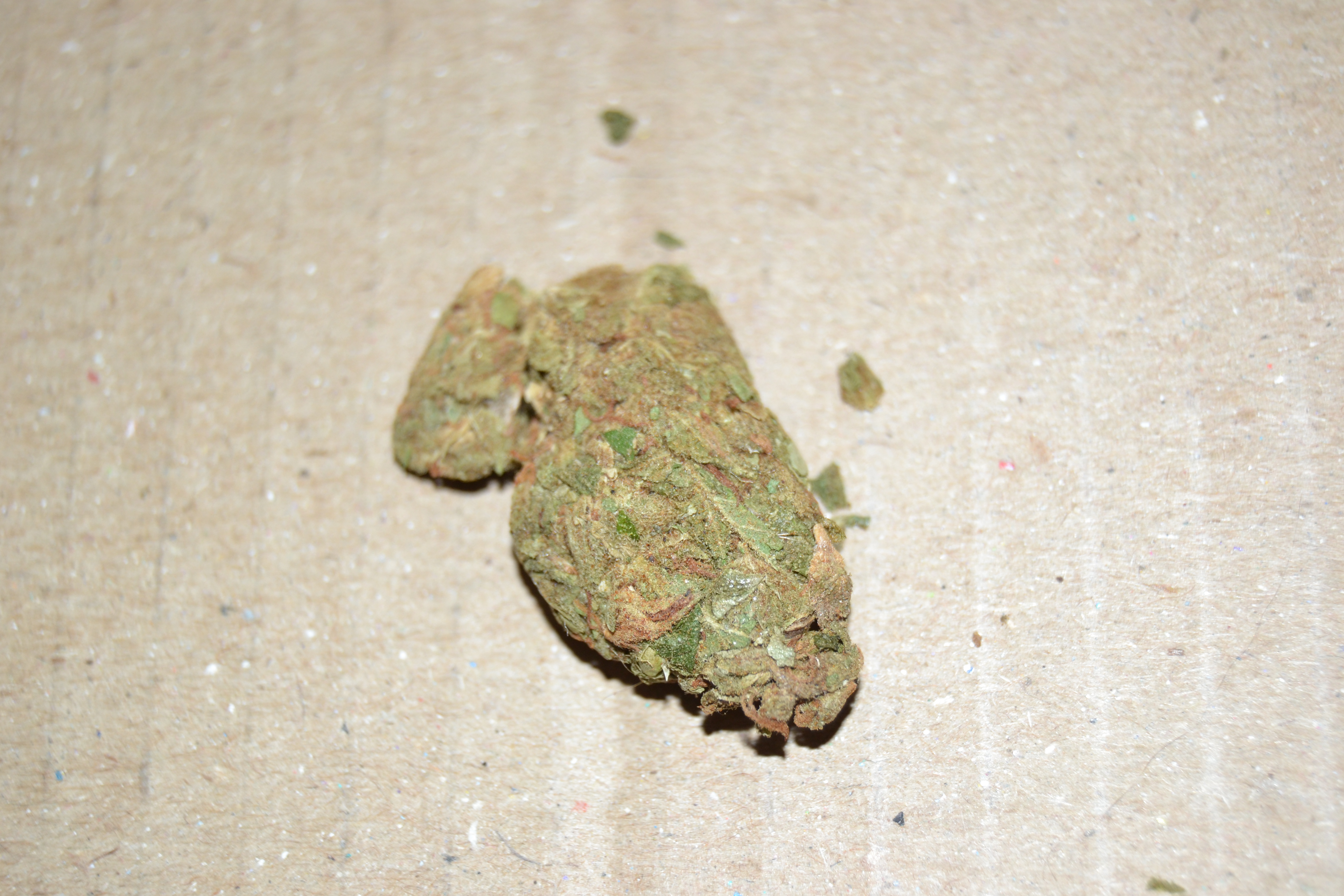 DSC_4639.JPG
