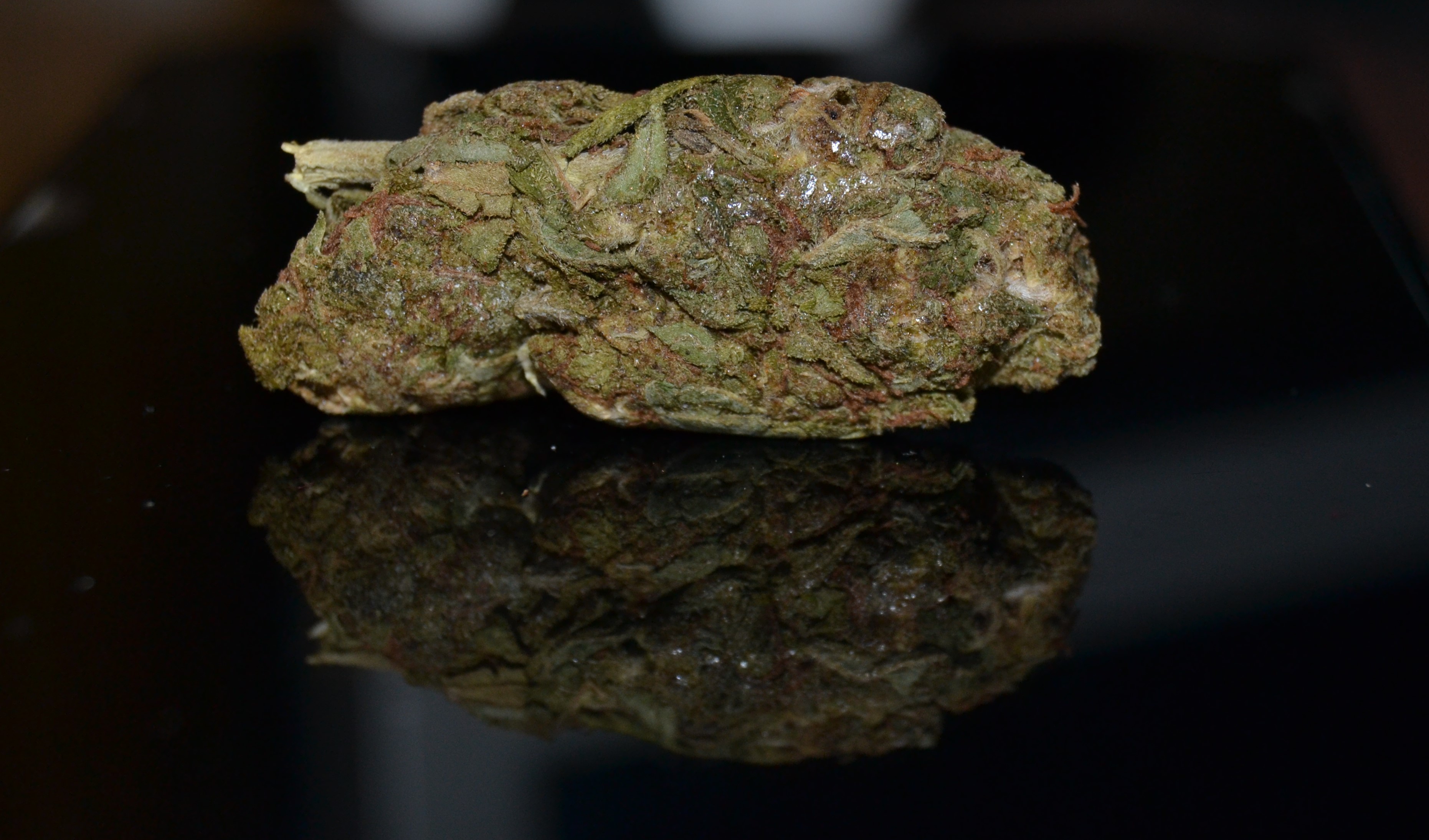 DSC_5077.jpg