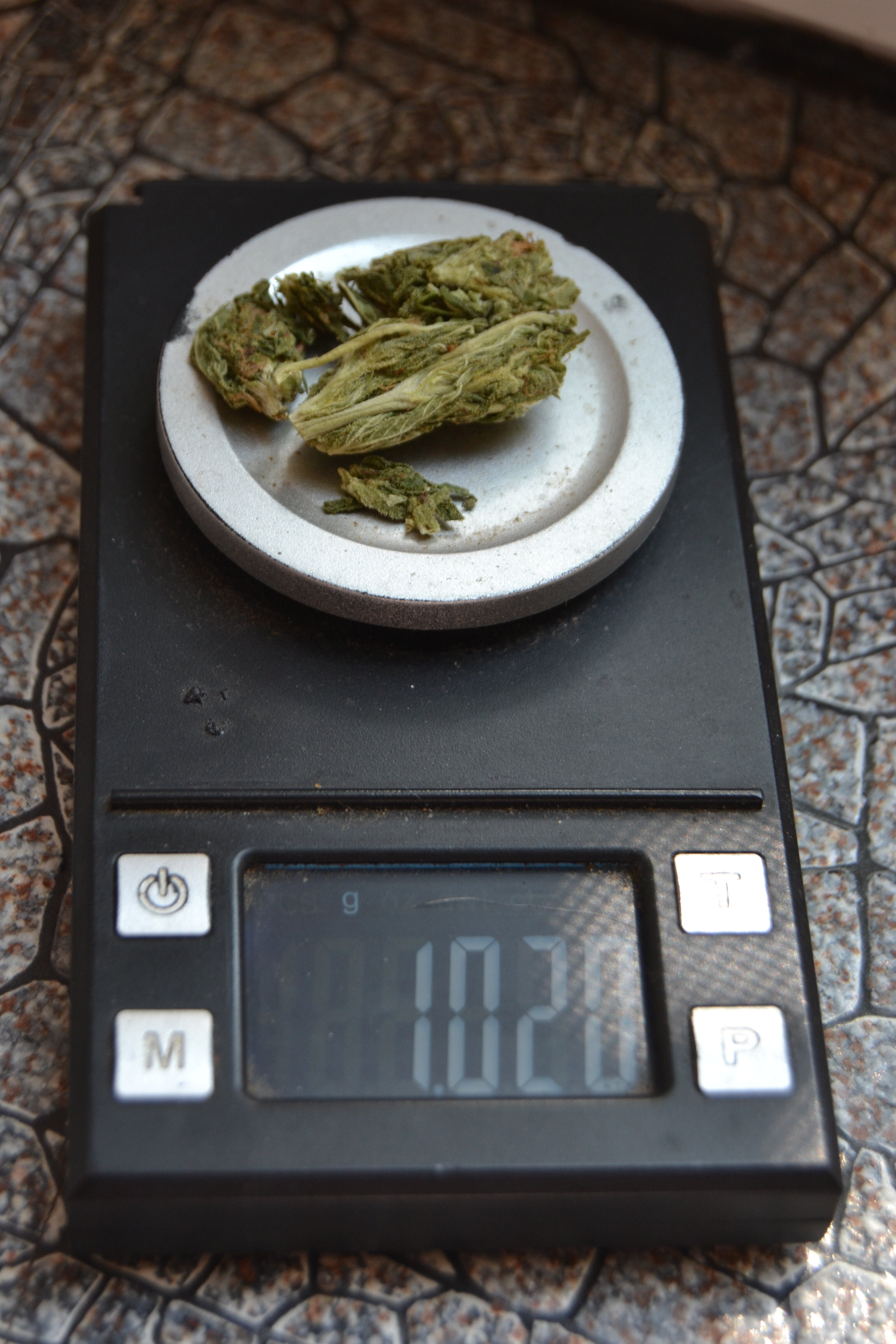DSC_5666.JPG