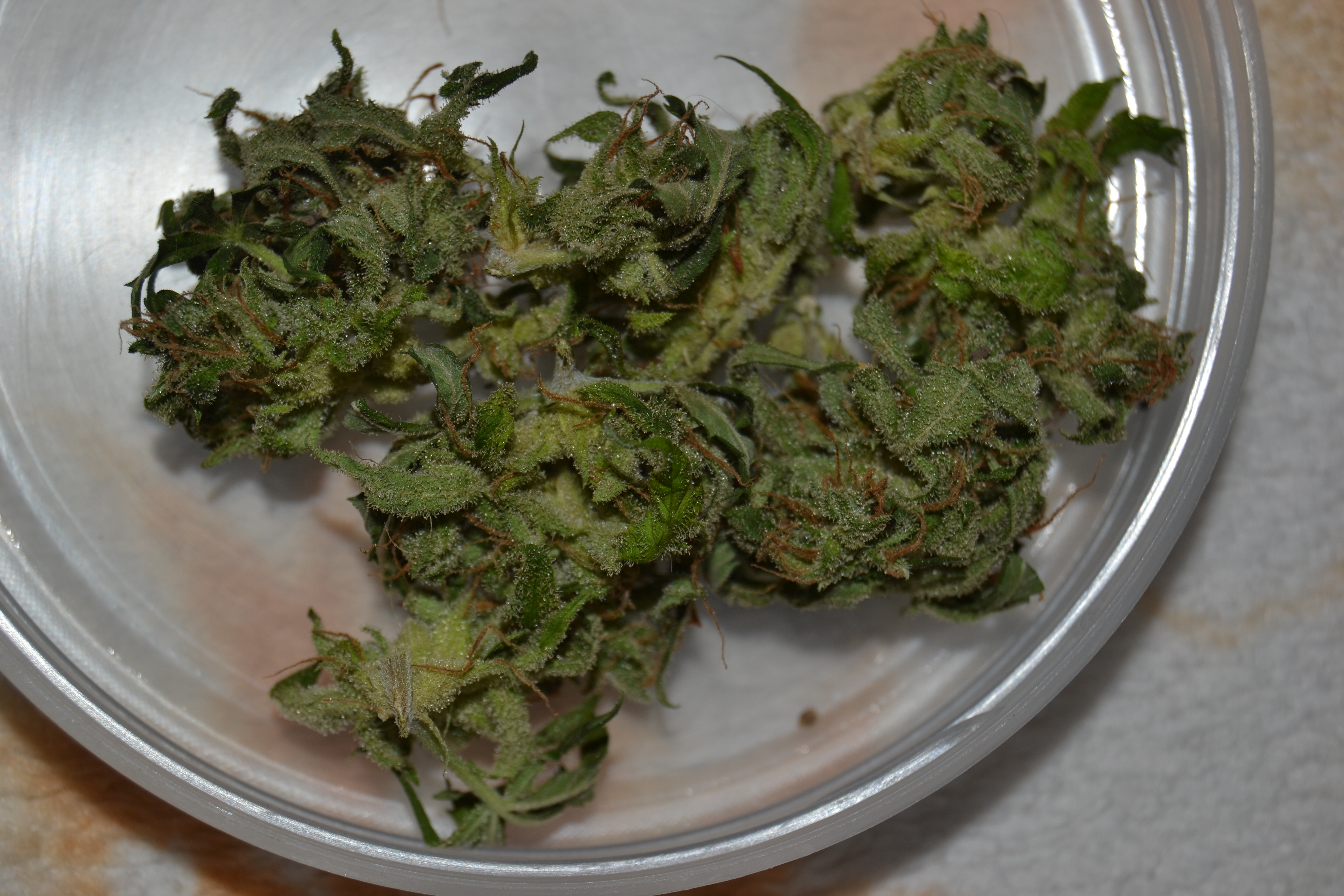 DSC_5687.JPG