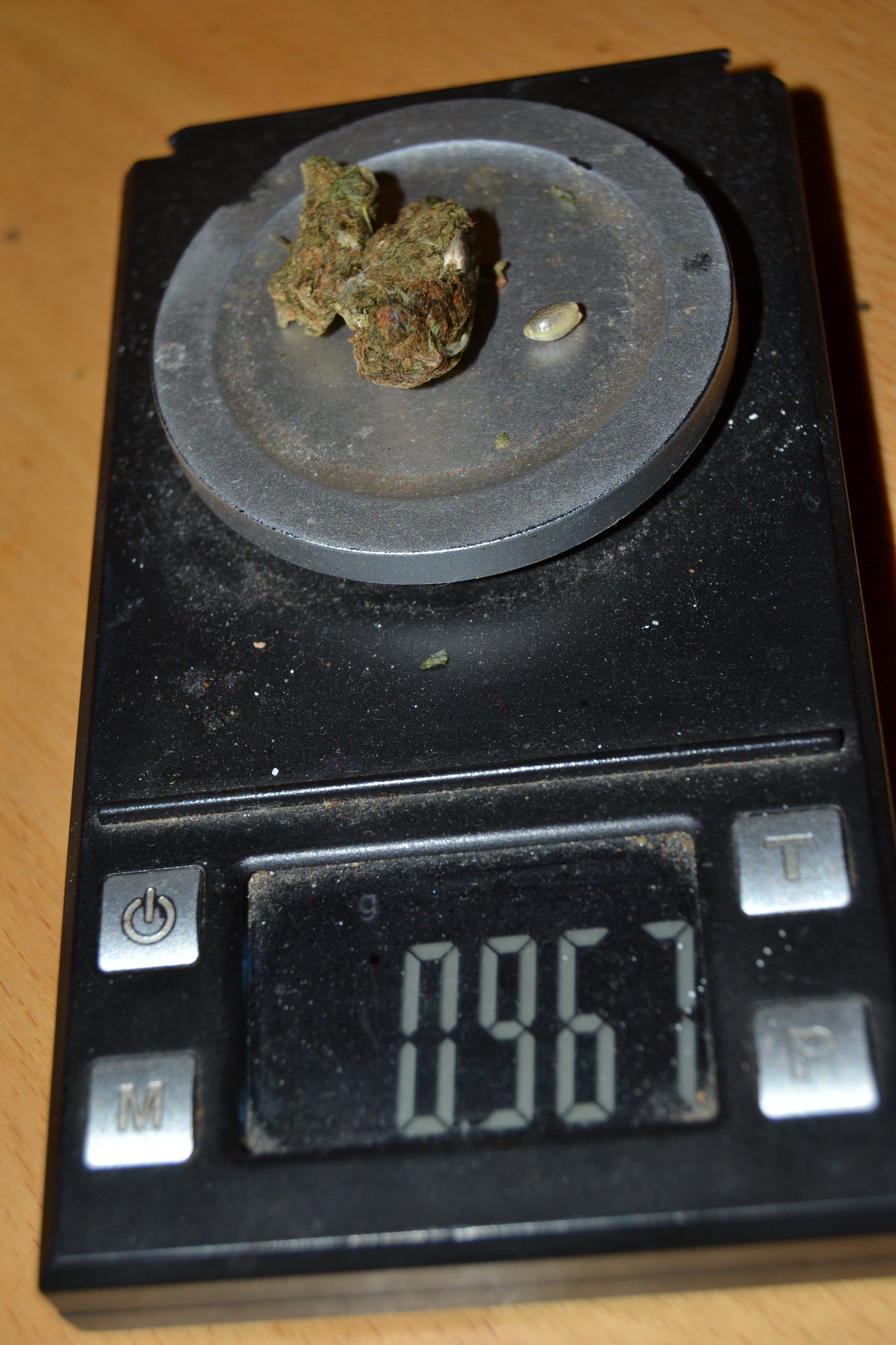 DSC_5693.JPG