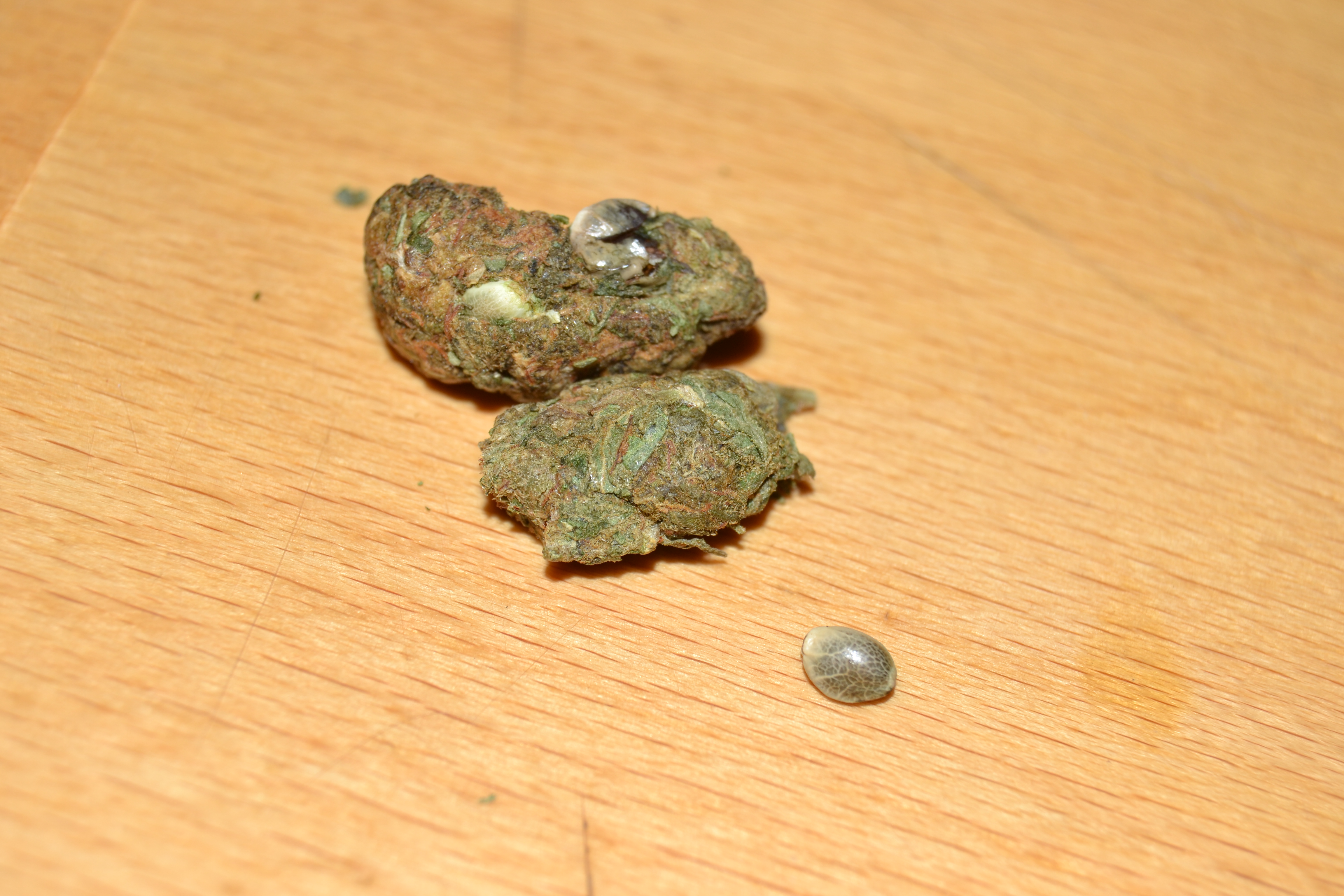 DSC_5695.JPG