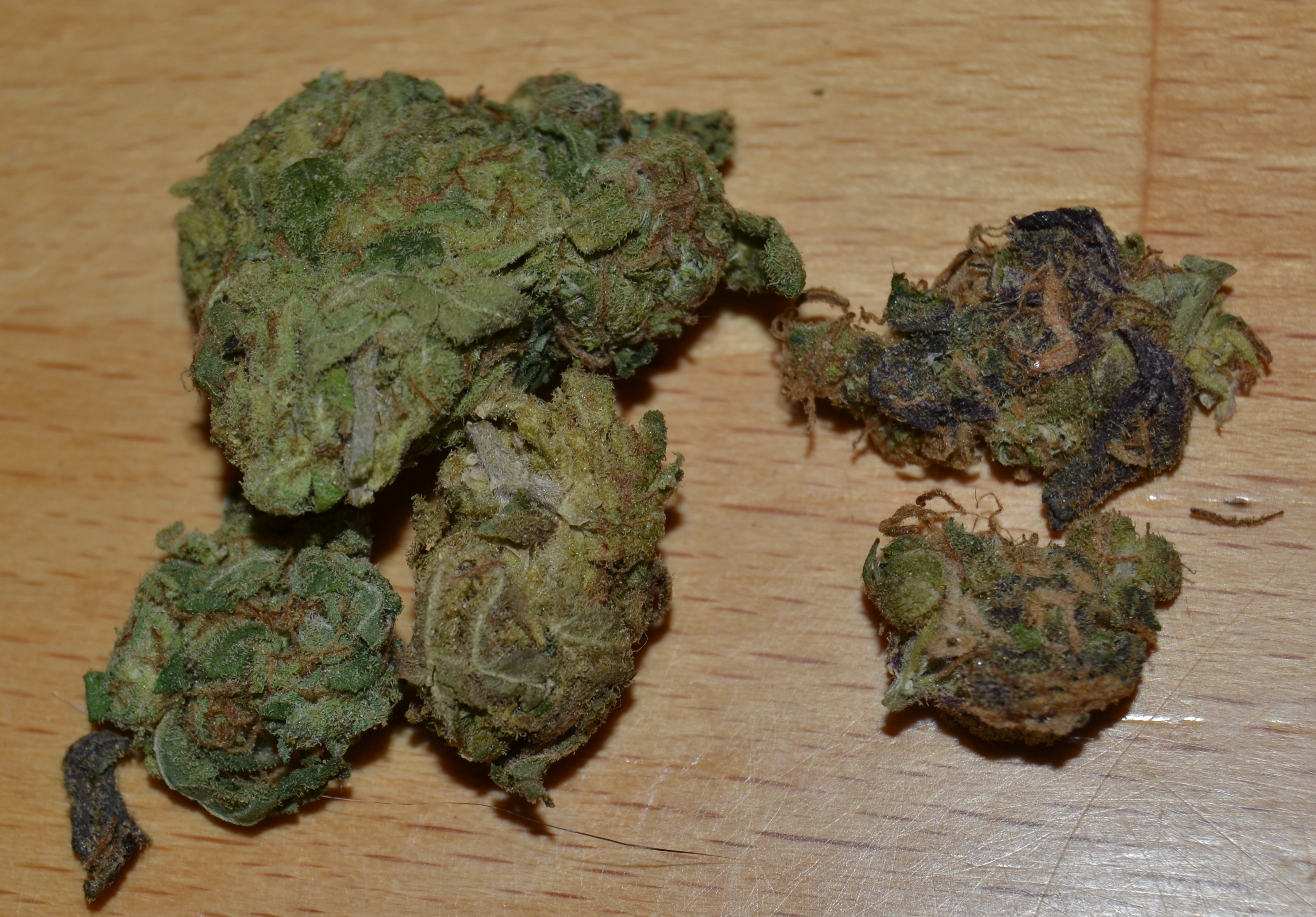 DSC_5731.JPG