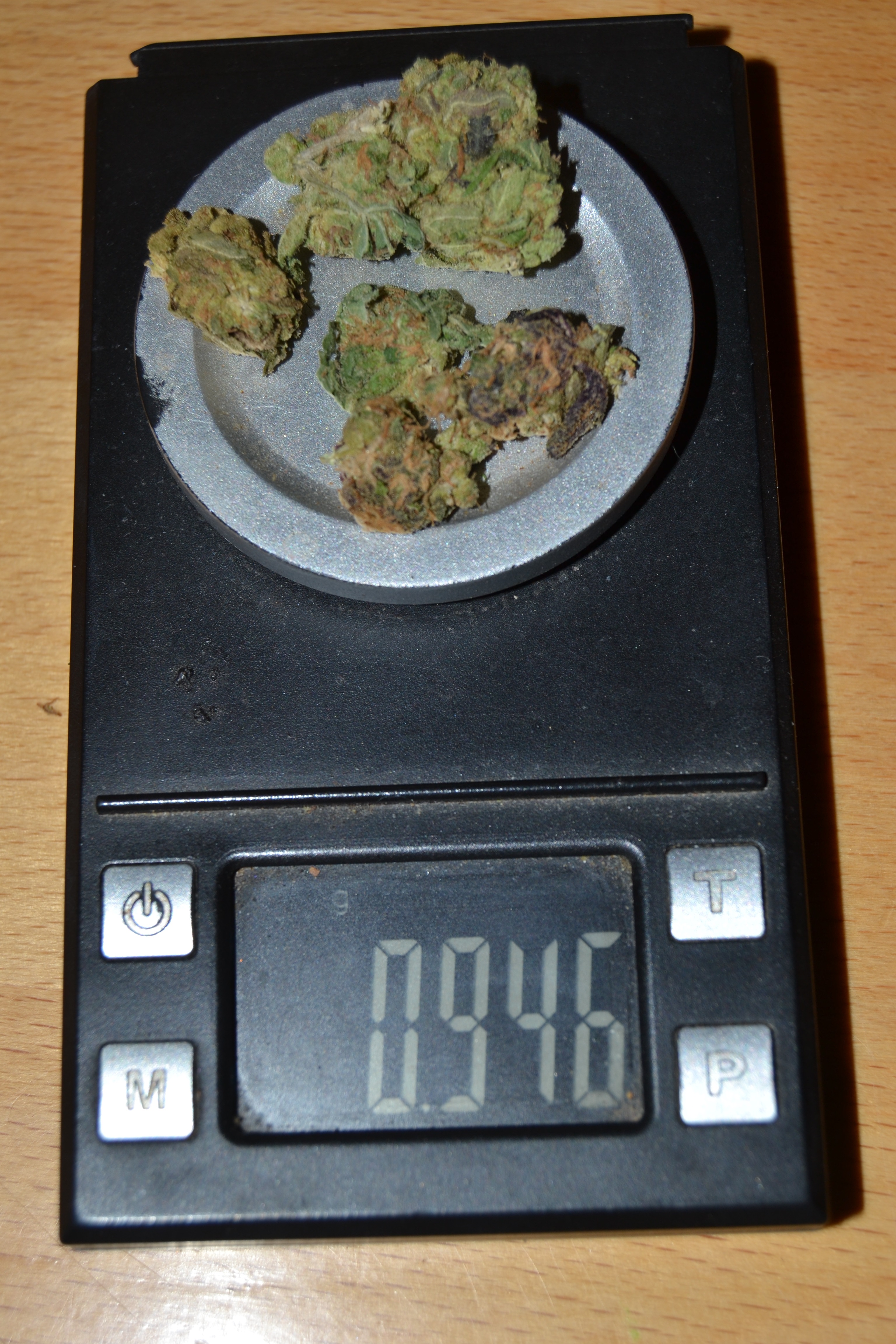 DSC_5740.JPG