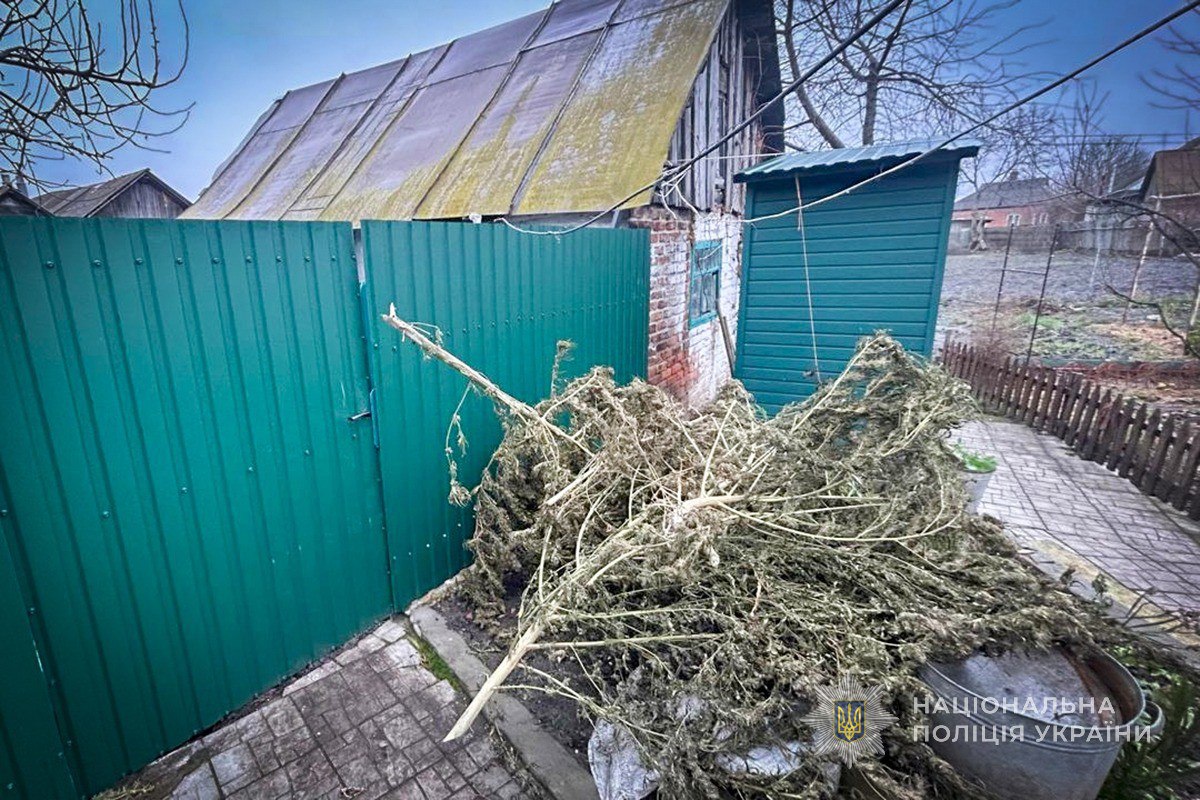 Два обыска – две находки у жителей Ахтырки изъяты наркотики.jpg