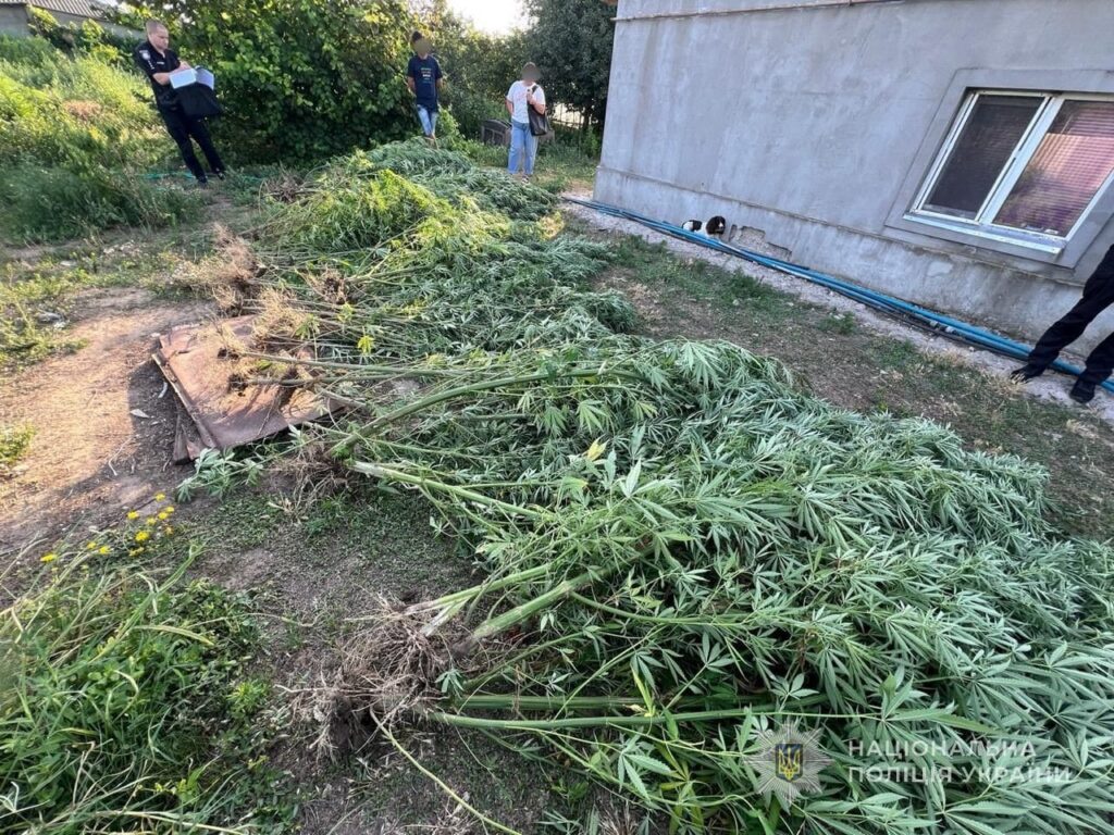 Двое жителей Измаильского района будут отвечать перед судом за сделки с наркотиками.jpeg