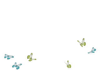 e510ef409d2d73d223e0052bfae5697c12cbaa09_hq.gif