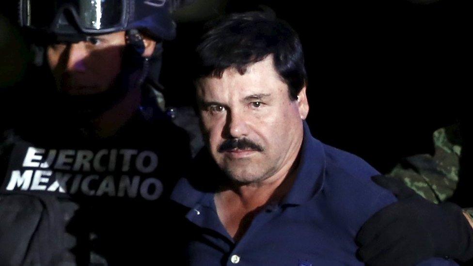 El-Chapo-DDW.jpg