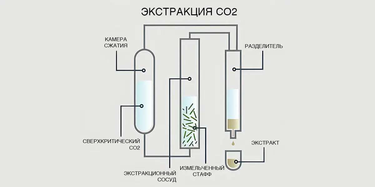 ezgif-344779697be02.jpg