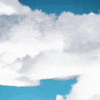 ezgif.com-optimize (2).gif