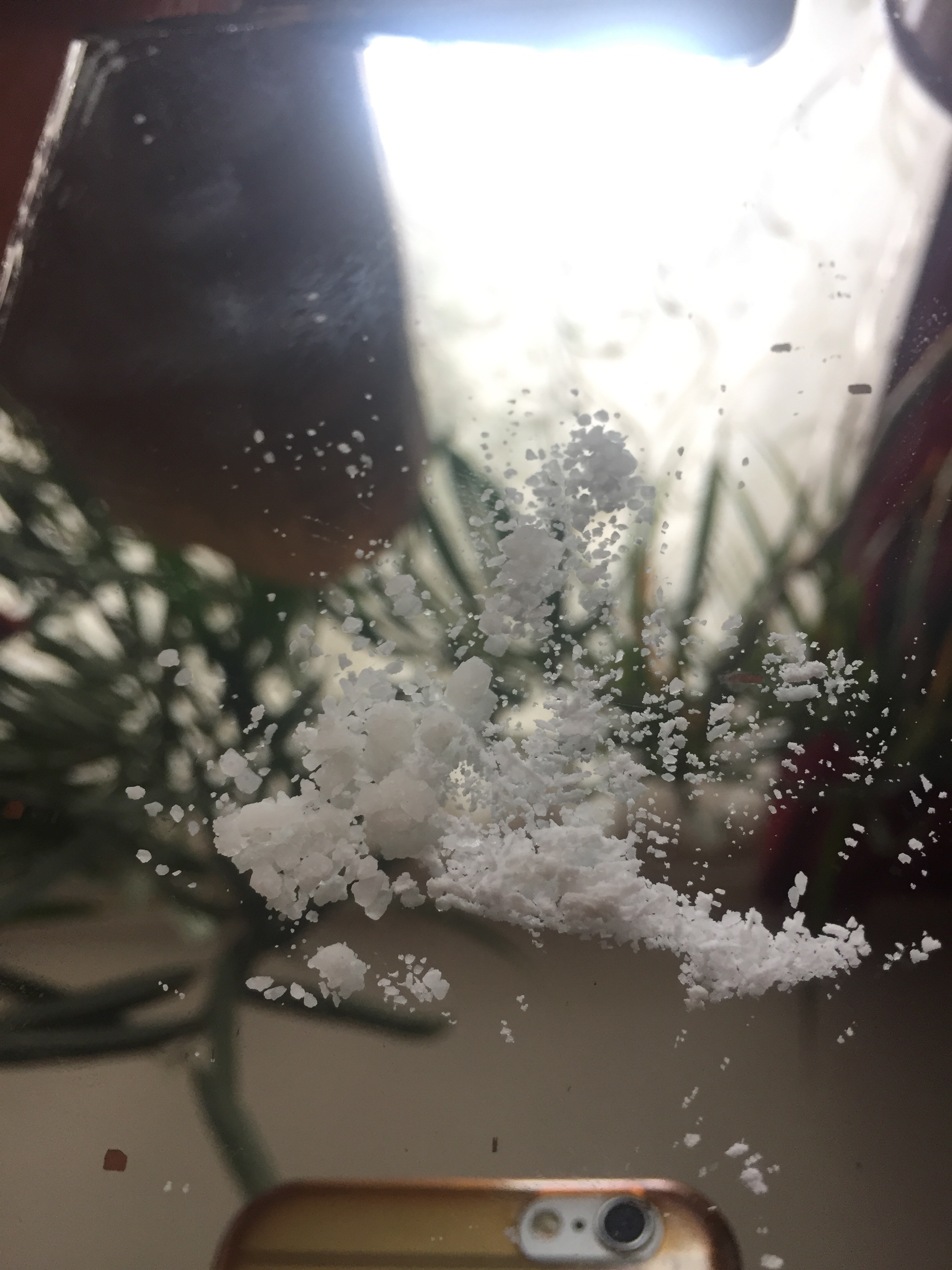 F5035255-DF4D-4164-9F69-37028AE7C77C.jpeg
