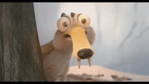 f801b1bd9d7f56c24e803225e74c3a15.gif