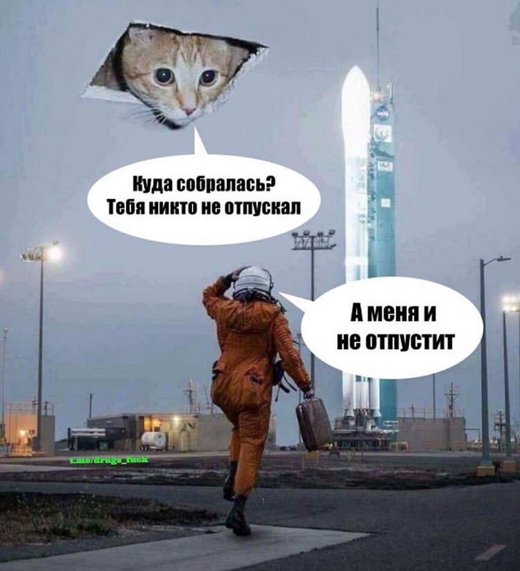 FEF772A4-130C-4335-95C4-B8BEDE9D25E7.jpeg