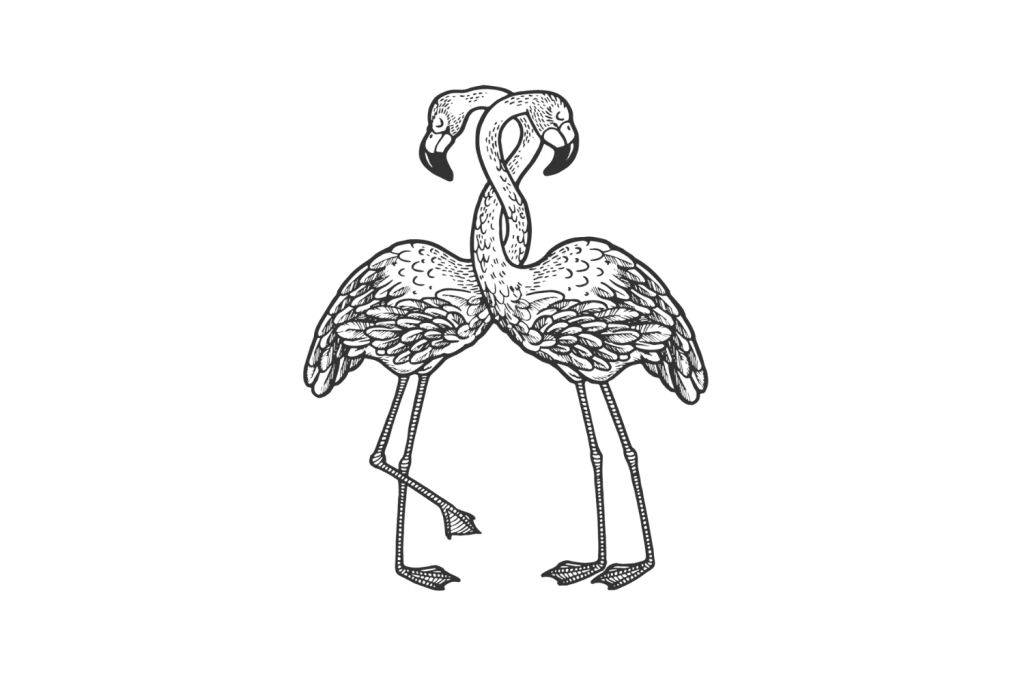 flamingo-lovers-1024x683.png