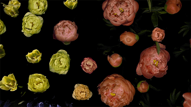 flowers-1.gif