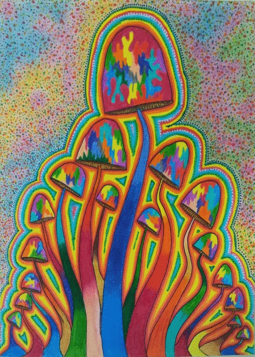 folia3.gif