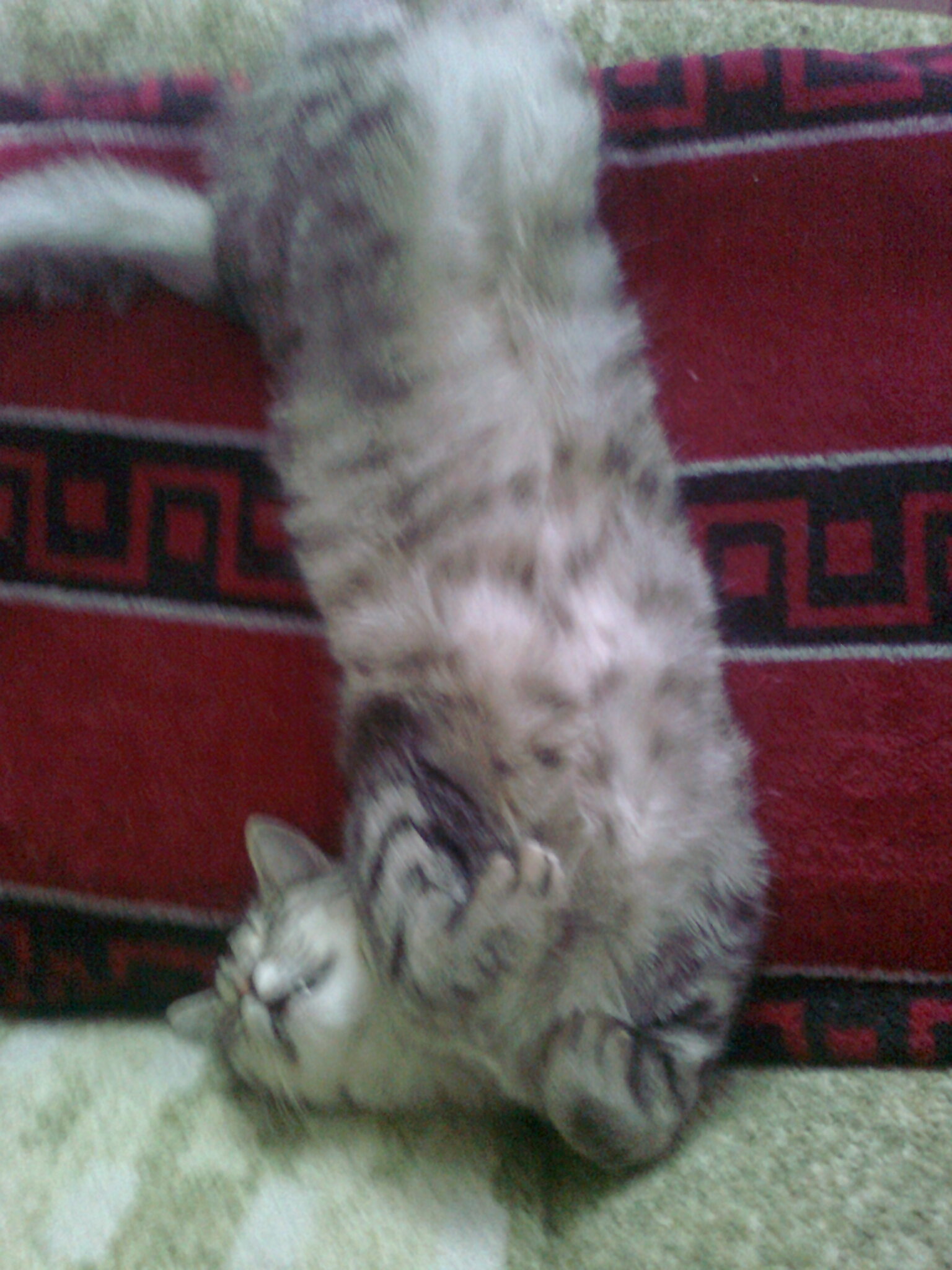 Фото0701.jpg