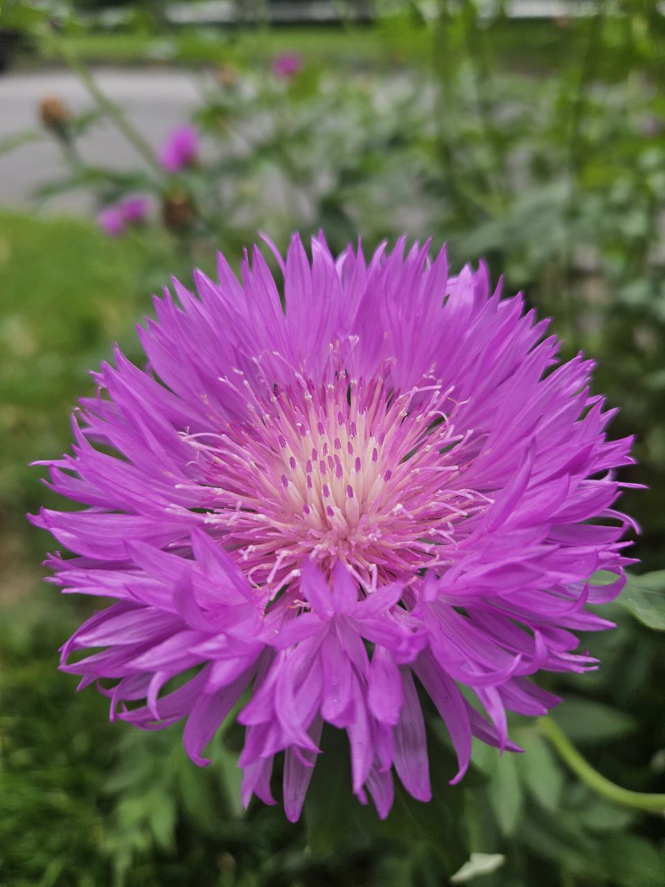 foto_no_exif (1).jpg