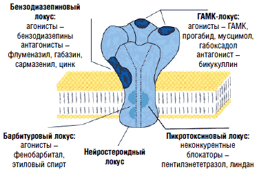 gaboks2.png
