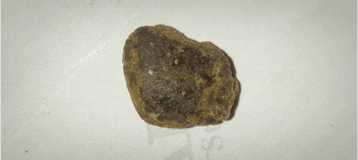 GIF_20250109_124948_377.gif
