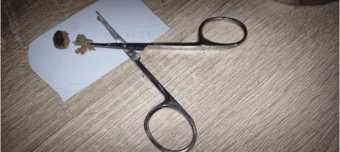 GIF_20250109_125130_800.gif