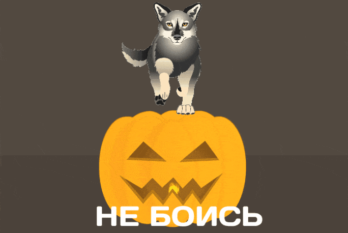 GIF_20251031_154333_450.gif