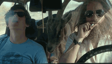 giphy (1).gif