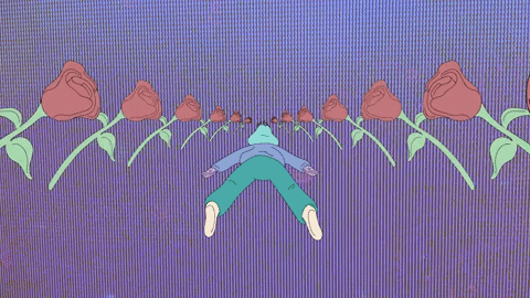 giphy (6).gif