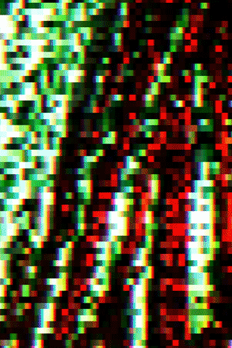giphy243.gif