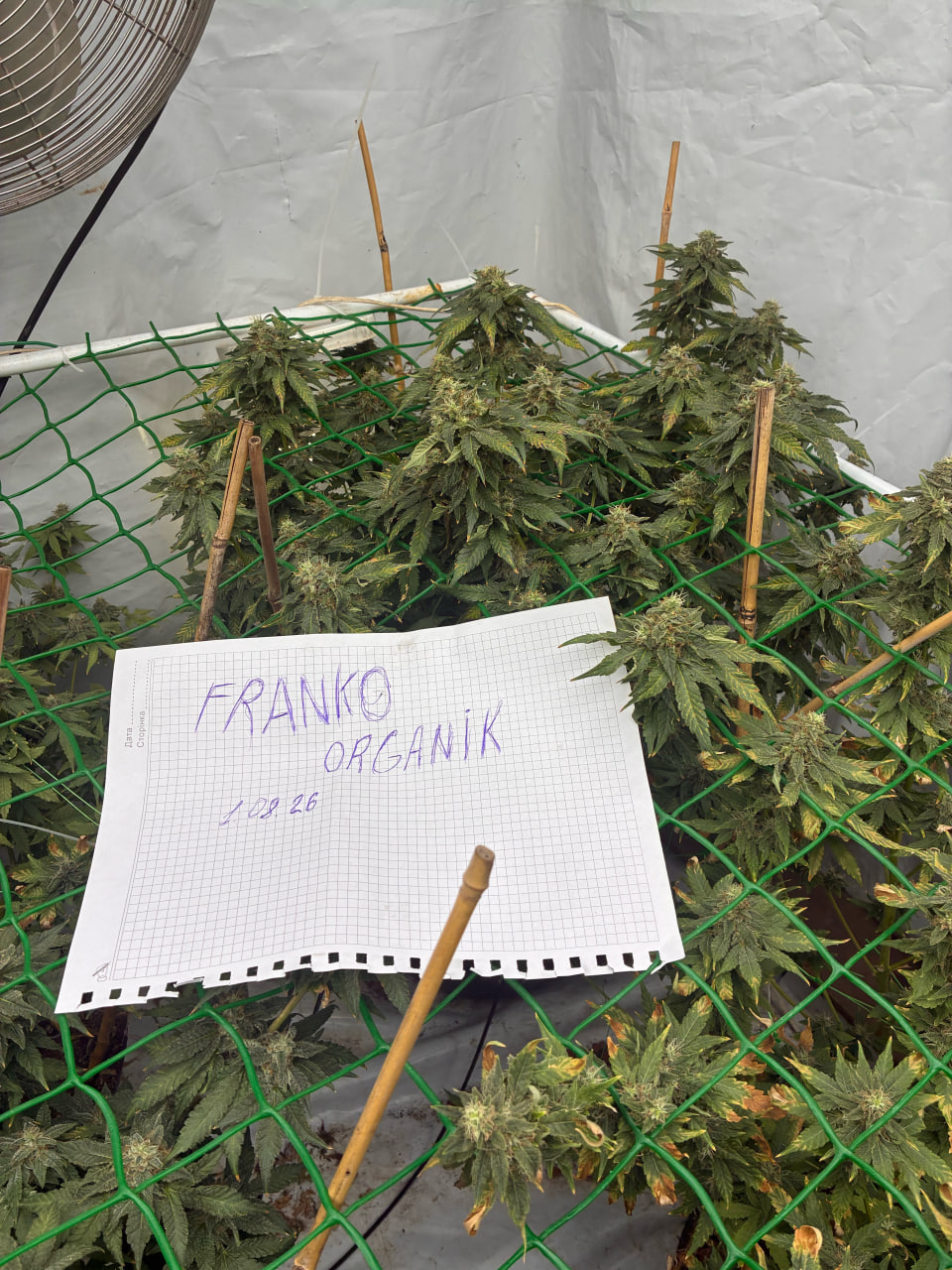 HarvestLAB.jpg