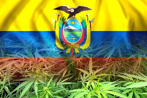 hemp ecuador.jpg