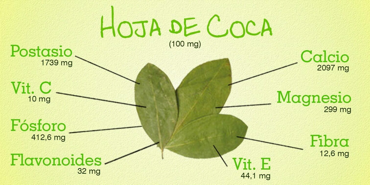 hoja_de_coca_valor_nutricional-1512x756.jpg
