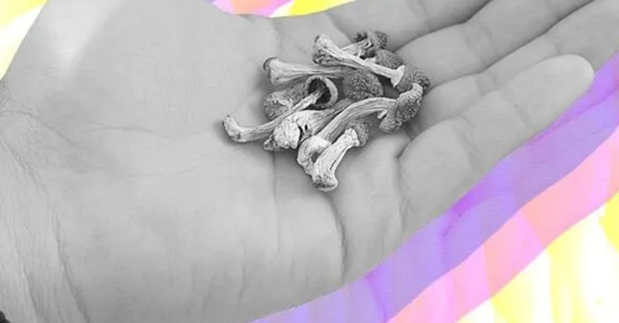 How Much Shrooms Should a Beginner Take  DoubleBlind Mag — Mozilla Firefox.jpg