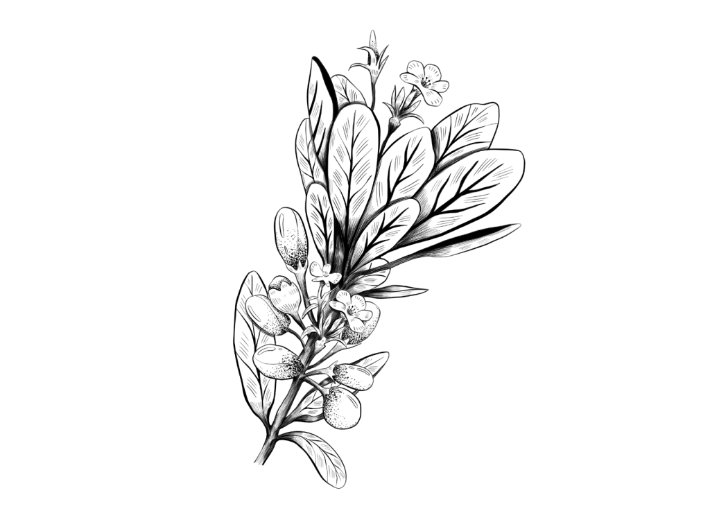 How-to-do-kintu-kintas-1024x737.png