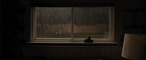 image_860811162238344942345.gif