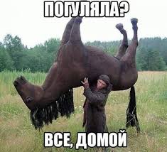 images-1.jpeg