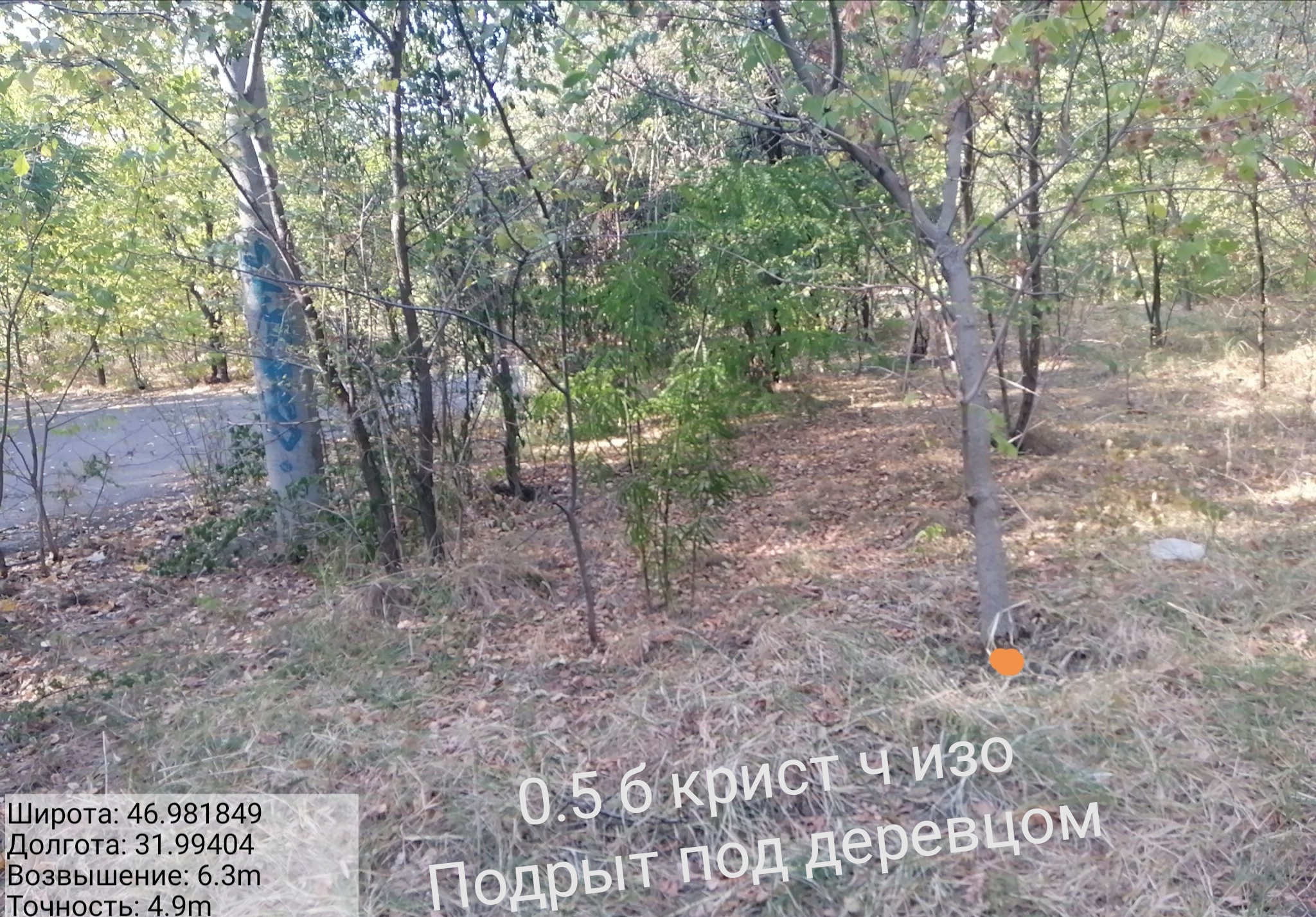 IMG-20190924-220235.jpg