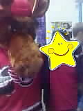 img00202_cp_001_001_001.jpg