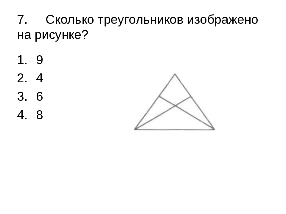 img6.jpg