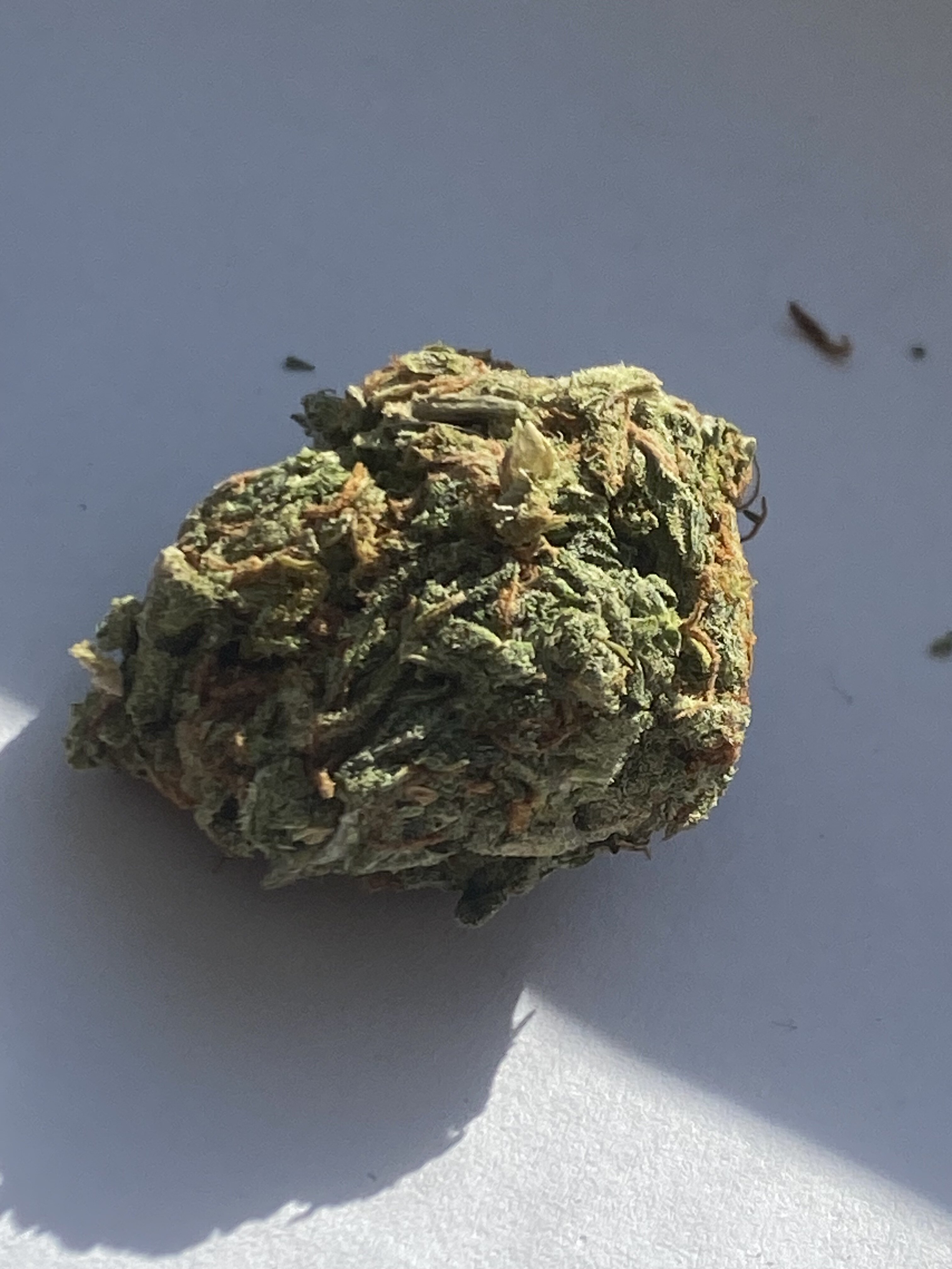 IMG_0668.jpeg